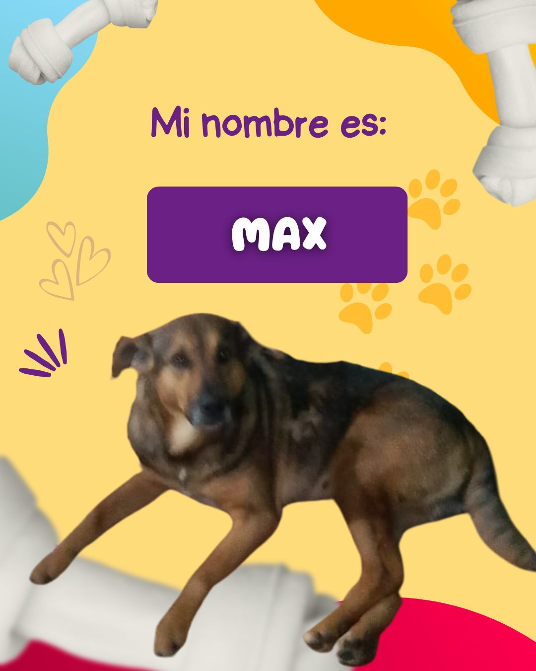 Imagen de Max